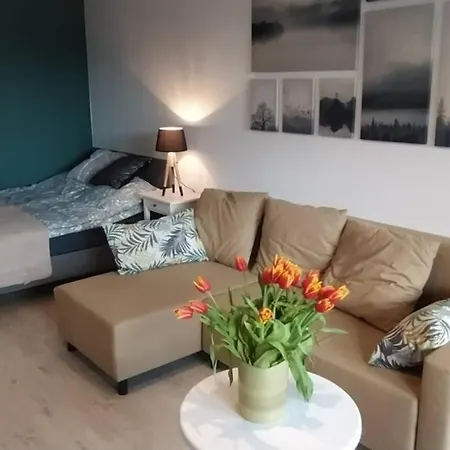Apartment Modern Moldawska