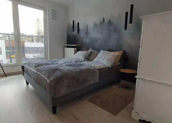 Appartement Modern Moldawska *