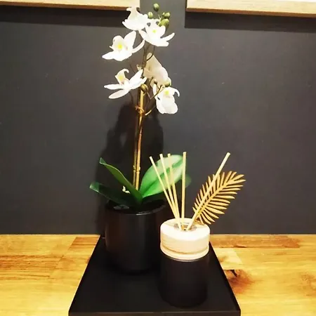 アパート Modern Moldawska *